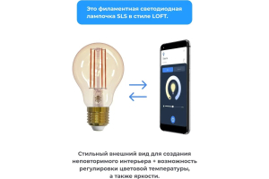 Купить SLS Лампа LED-11 LOFT E27 WiFi white-2.jpg